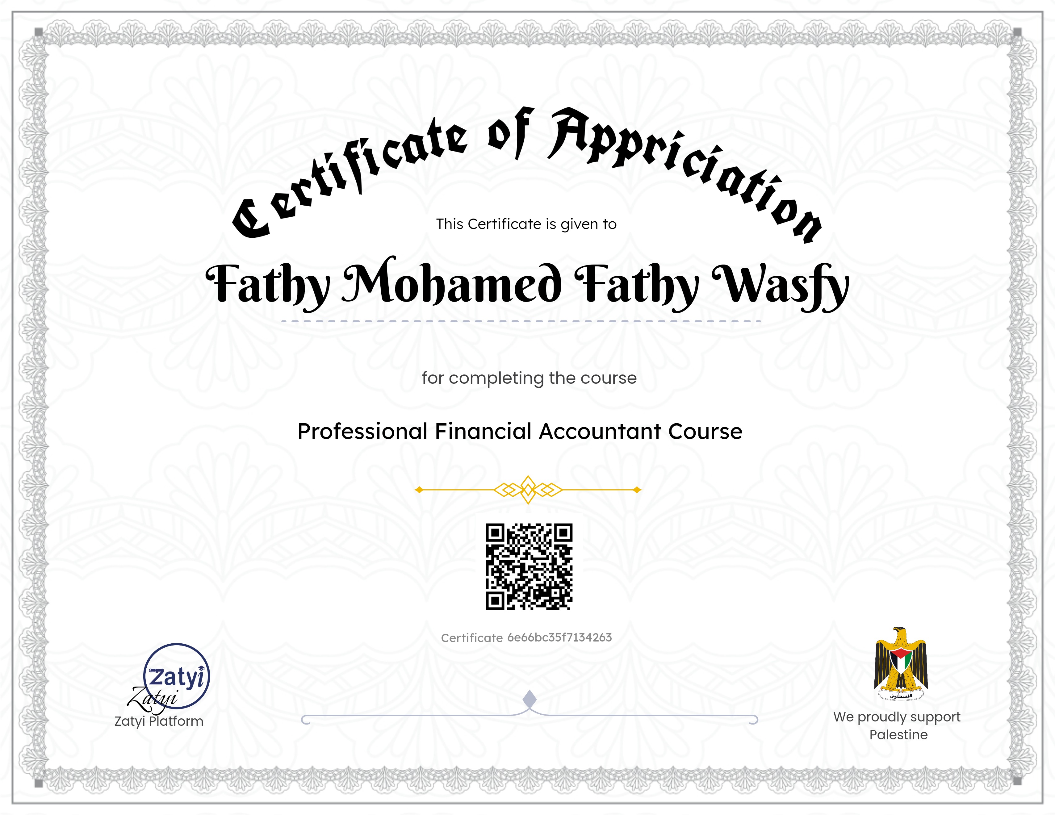 Professional Financial Accountant Course
